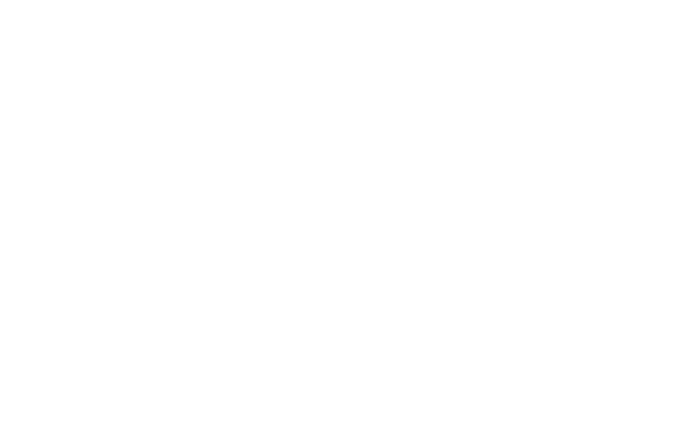 born2shine Logo